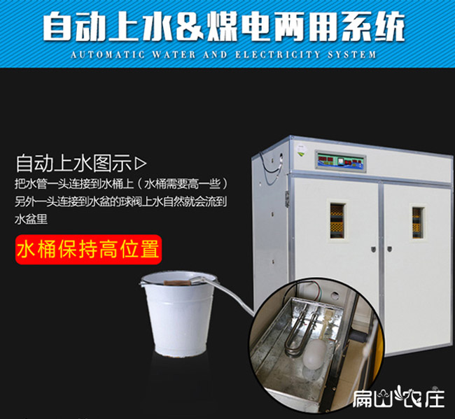 龍巖大型雞苗孵化設備 龍巖大型雞苗孵化設備