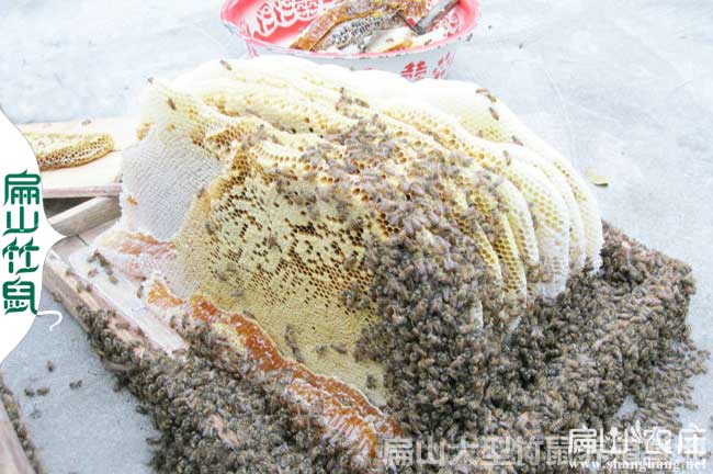 龍巖蜜蜂養(yǎng)殖合作社