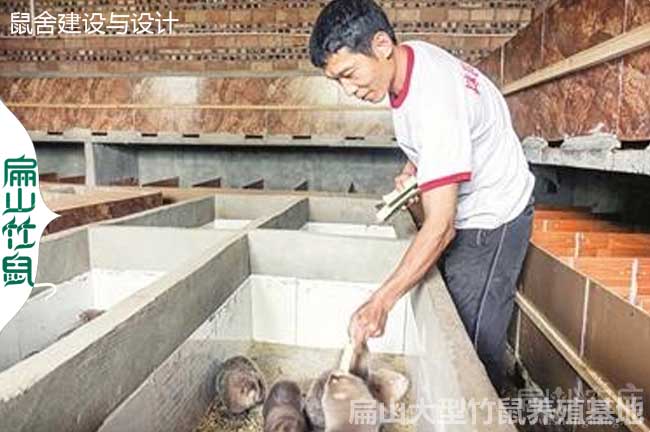 竹鼠舍建設(shè)桂林