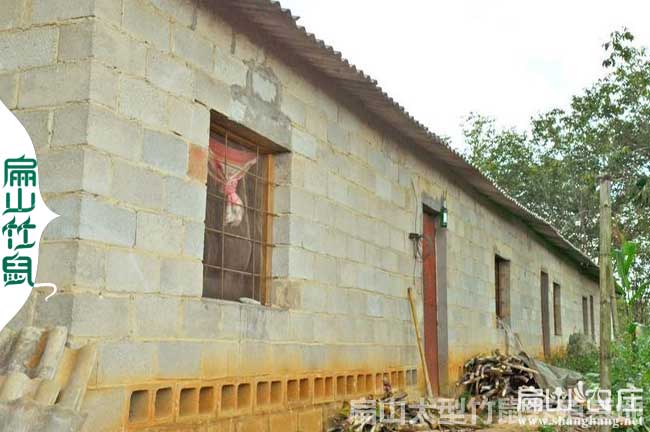 賀州竹鼠養(yǎng)殖基地