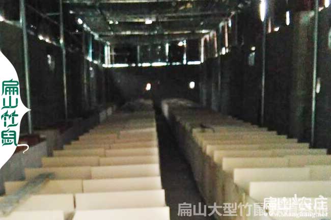 創(chuàng)業(yè)2024竹鼠種苗批發(fā)價格 養(yǎng)殖合作社基地加盟398元/對