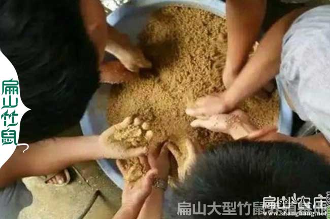 廣西竹鼠粉制作方法