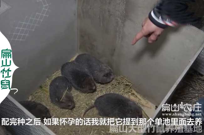 張家界養(yǎng)殖網