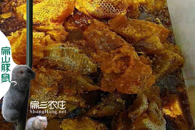 武平蜂蜜批發(fā)價格
