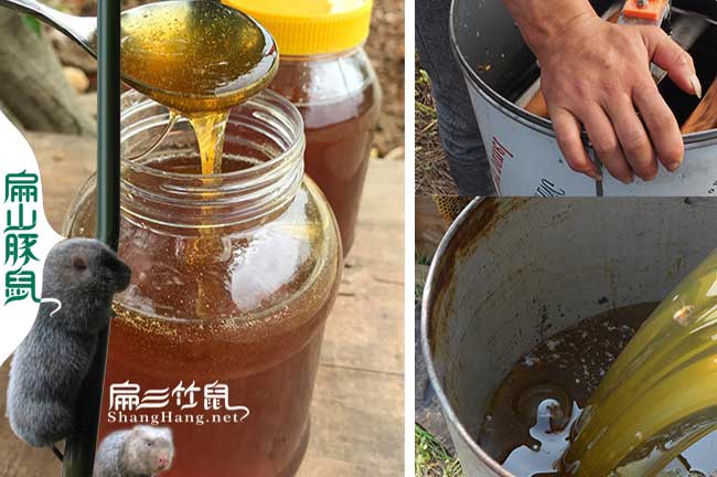 壽寧蜂蜜批發(fā)