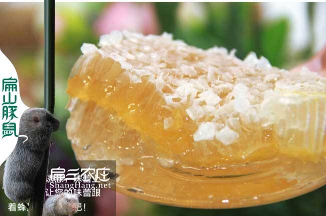 十堰蜂蜜批發(fā) 十堰蜂蜜批發(fā)