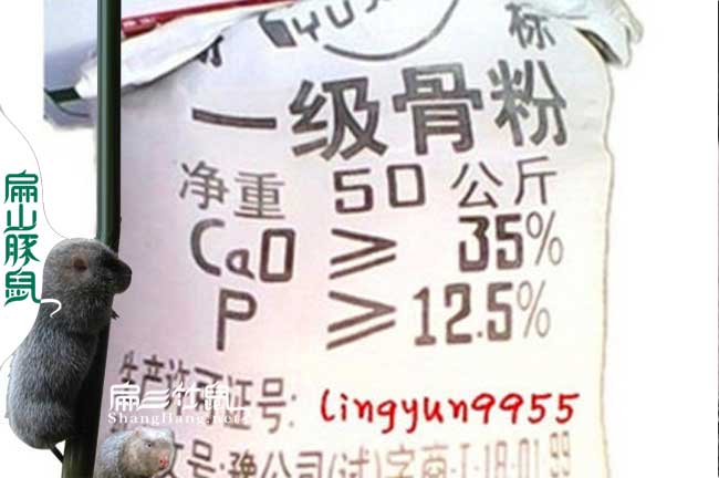 一級(jí)竹鼠骨粉