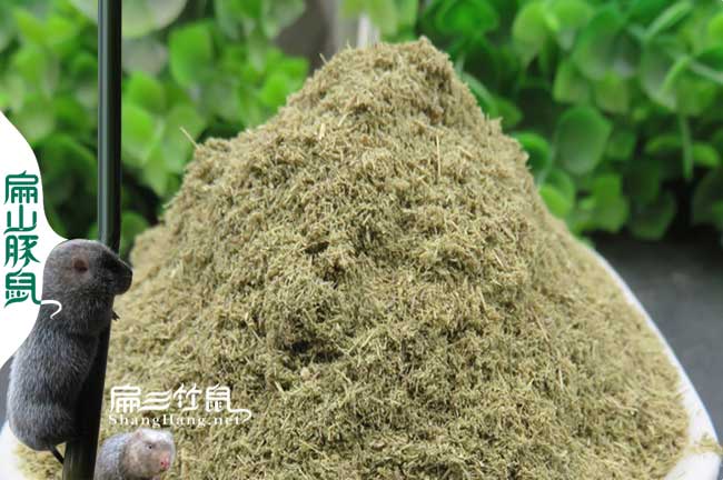 保山竹鼠養(yǎng)殖基地