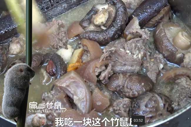 加微信群學習竹鼠養(yǎng)殖
