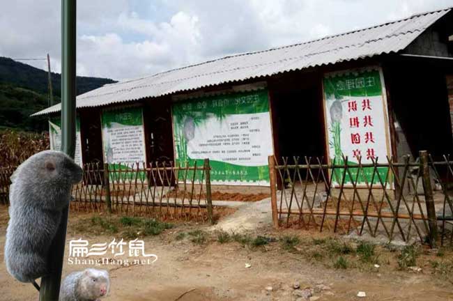伺服后竹鼠養(yǎng)殖基地