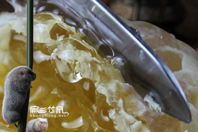 延安蜂巢蜜 延安蜂巢蜜