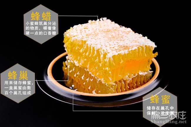 臨渭北方扁山茶油多少 臨渭北方扁山茶油多少
