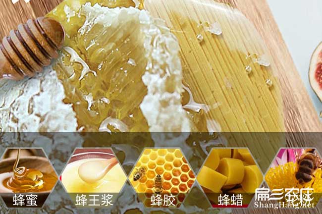 華陰種植油茶多久才能 華陰種植油茶多久才能
