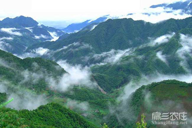 張家界蜂蜜批發(fā) 張家界蜂蜜批發(fā)