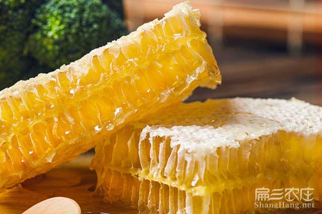 格子養(yǎng)蜂經(jīng)驗(yàn)