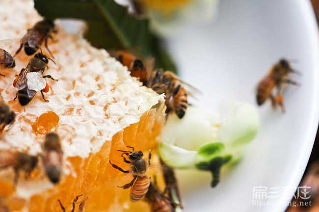潼關(guān)縣高產(chǎn)的的理論依 潼關(guān)縣高產(chǎn)的的理論依