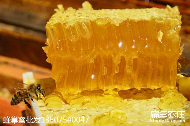 寶雞蜂巢蜜 寶雞蜂巢蜜