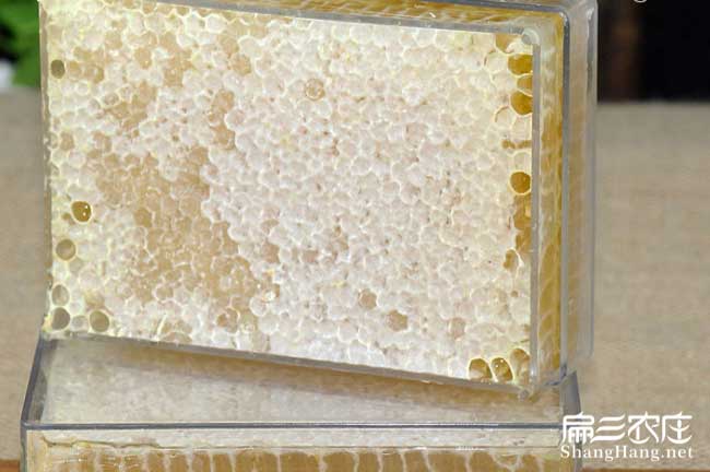 麗江蜂巢蜜批發(fā) 麗江蜂巢蜜批發(fā)