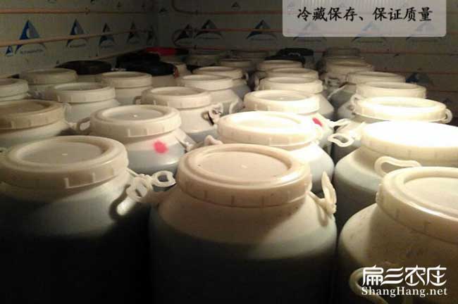 邕寧蜂巢蜜批發(fā) 邕寧蜂巢蜜批發(fā)