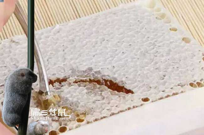 麗江蜂巢蜜批發(fā) 麗江蜂巢蜜批發(fā)
