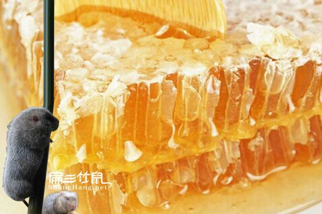 怒江蜂巢蜜批發(fā)