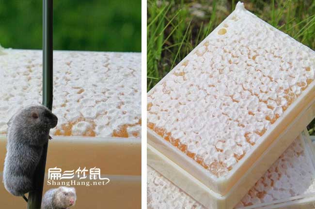 桂林蜂巢蜜批發(fā) 桂林蜂巢蜜批發(fā)