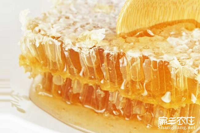 梧州蜜蜂養(yǎng)殖基地 梧州蜜蜂養(yǎng)殖基地