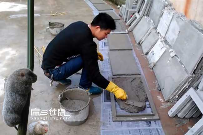 華州蒲城縣造林地的選 華州蒲城縣造林地的選
