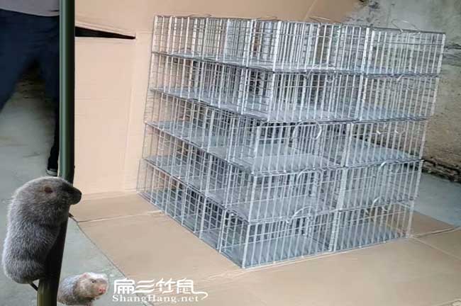 竹鼠籠子發(fā)貨