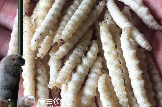 小圍寨油茶種植的土質(zhì) 小圍寨油茶種植的土質(zhì)
