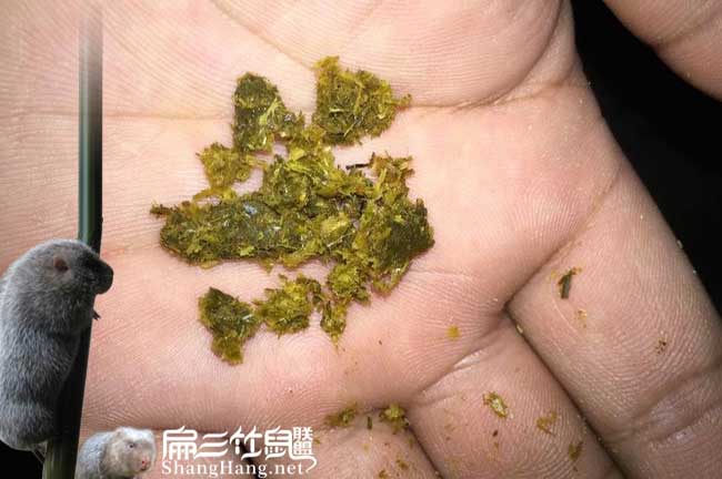 平浪扁山發(fā)展油茶生產(chǎn) 平浪扁山發(fā)展油茶生產(chǎn)