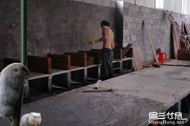常州竹鼠舍