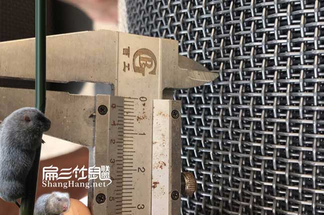 養(yǎng)殖鐵絲網(wǎng)