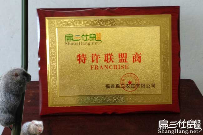 青海60對紅頰竹鼠養(yǎng)殖場 野兔玉樹海西海南海北豚鼠種苗39元