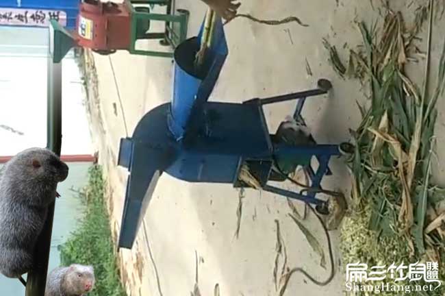 竹鼠養(yǎng)殖設備