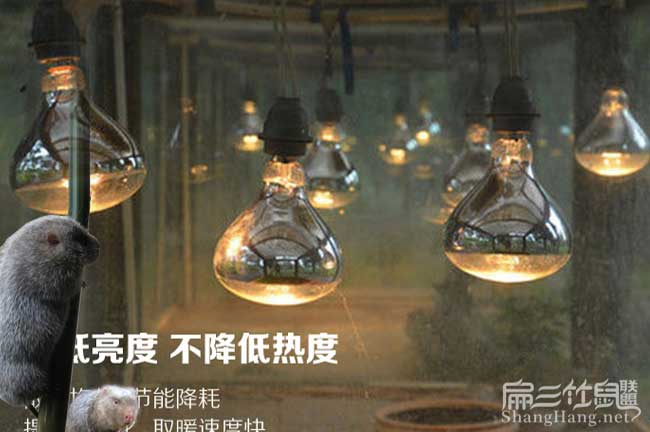 新養(yǎng)殖場(chǎng)保暖燈
