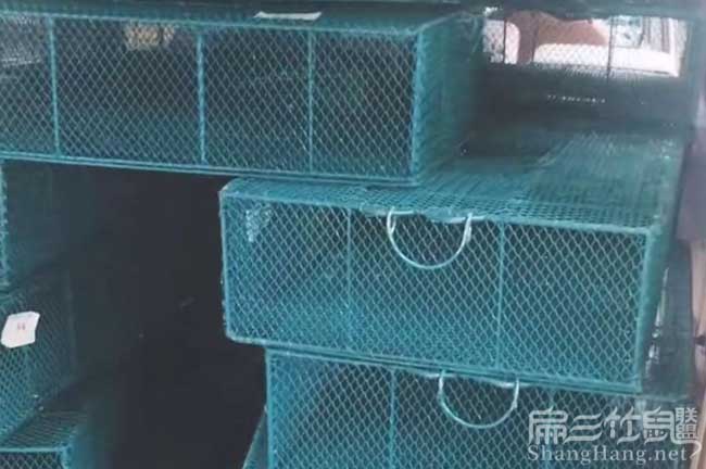 福建規(guī)模竹鼠養(yǎng)殖