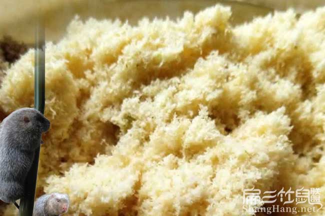 竹鼠養(yǎng)殖要的條件