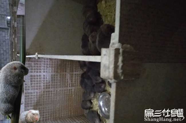 瓷磚連接