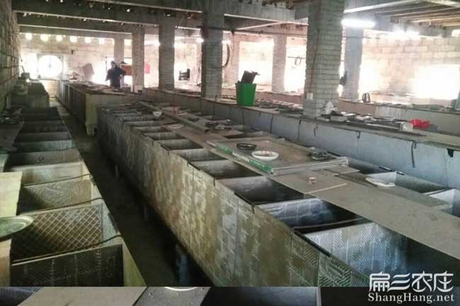 竹鼠舍取暖