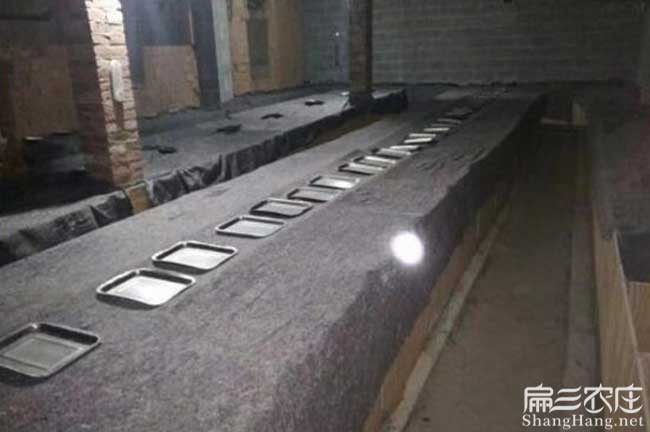 竹鼠冬天保暖
