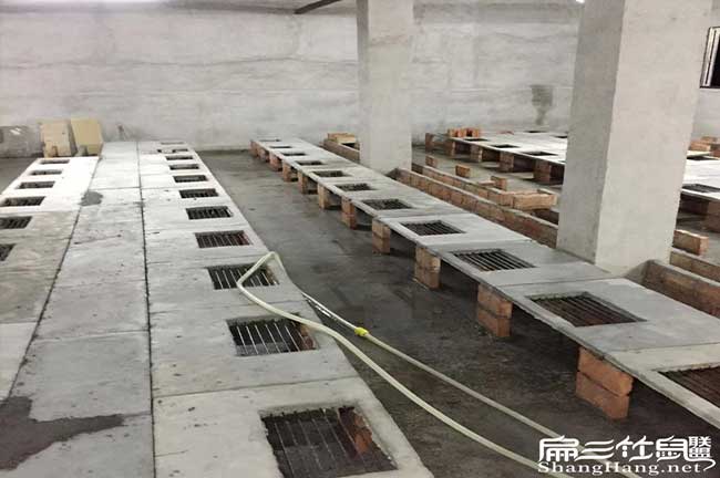 馬山竹鼠養(yǎng)殖場