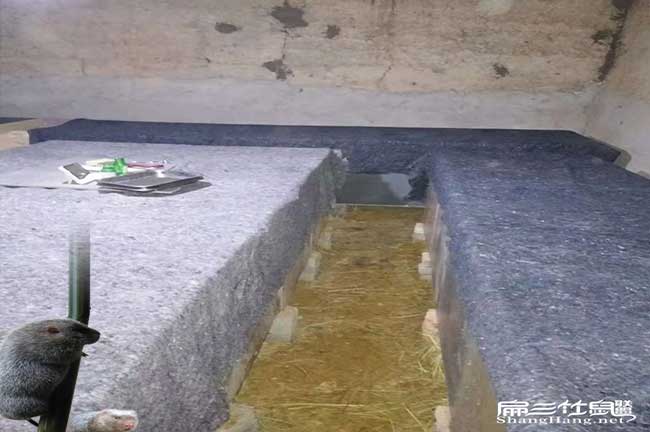 竹鼠舍保溫