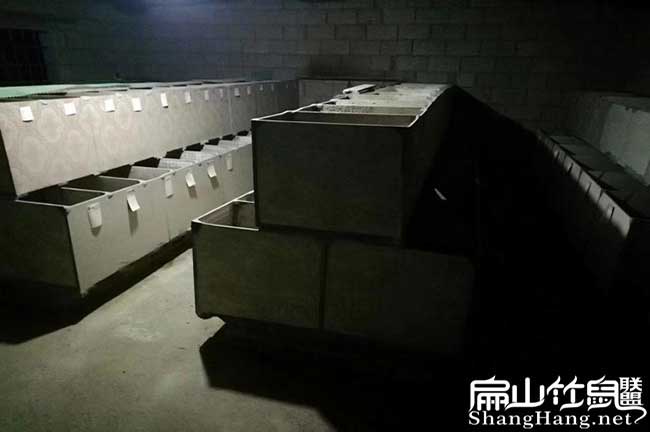 您好!我們里水扁山竹 您好!我們里水扁山竹