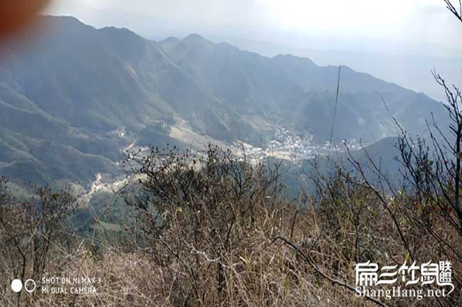 竹鼠的日常管理方式: 竹鼠的日常管理方式: