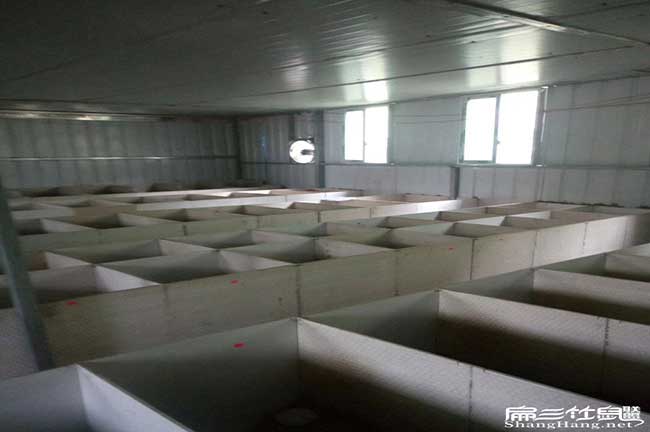 中國竹鼠基地