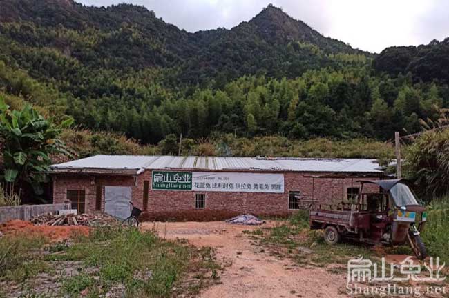 福建扁山兔業(yè)