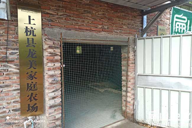 龍巖種兔繁殖基地