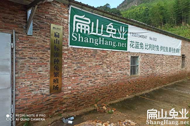 龍巖標(biāo)準(zhǔn)種兔繁殖場(chǎng)