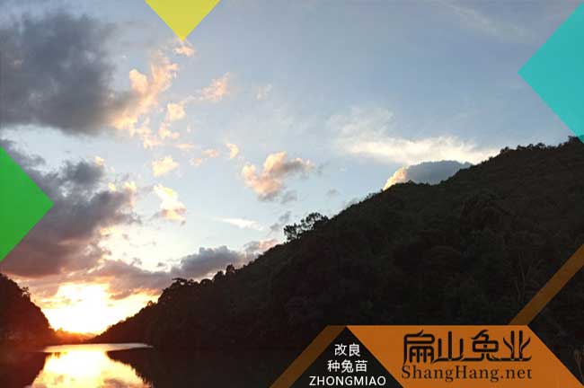扁山養(yǎng)殖環(huán)境